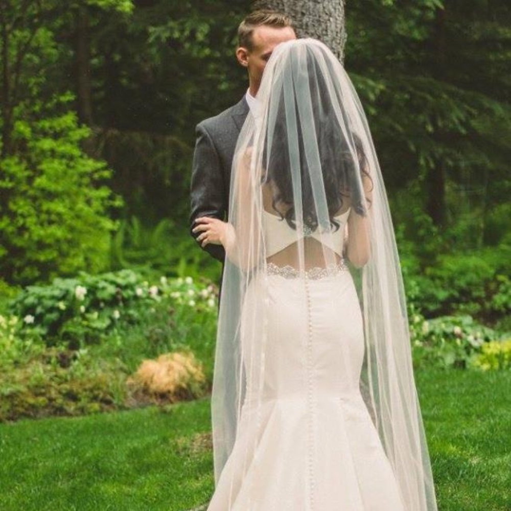 Wedding Dress & Veil